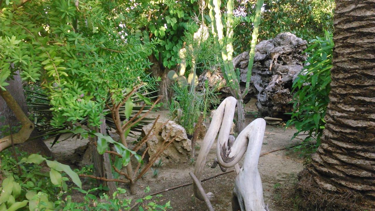 شقة Baha-Ammes سفوروناتا المظهر الخارجي الصورة