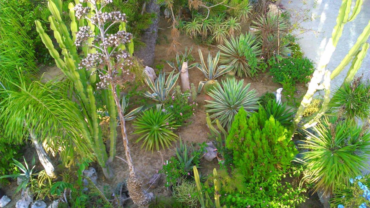 شقة Baha-Ammes سفوروناتا المظهر الخارجي الصورة