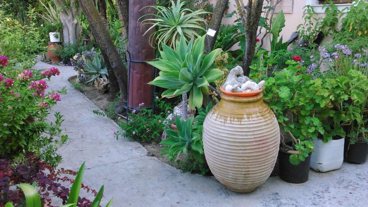 شقة Baha-Ammes سفوروناتا المظهر الخارجي الصورة